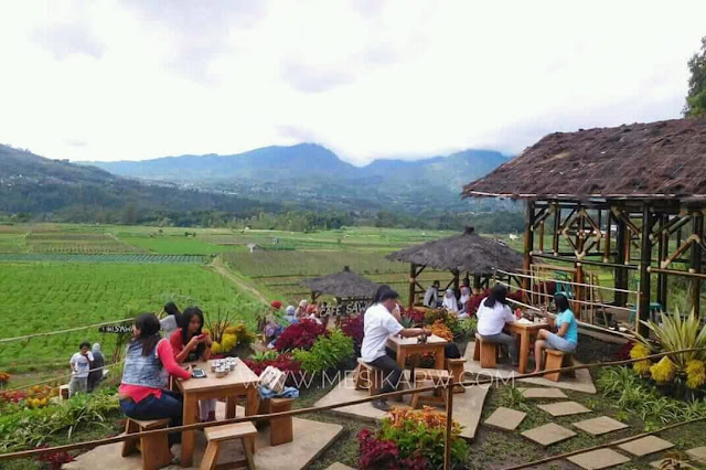 Konsep cafe sawah Pujon Kidul Konsep cafe sawah Pujon Kidul