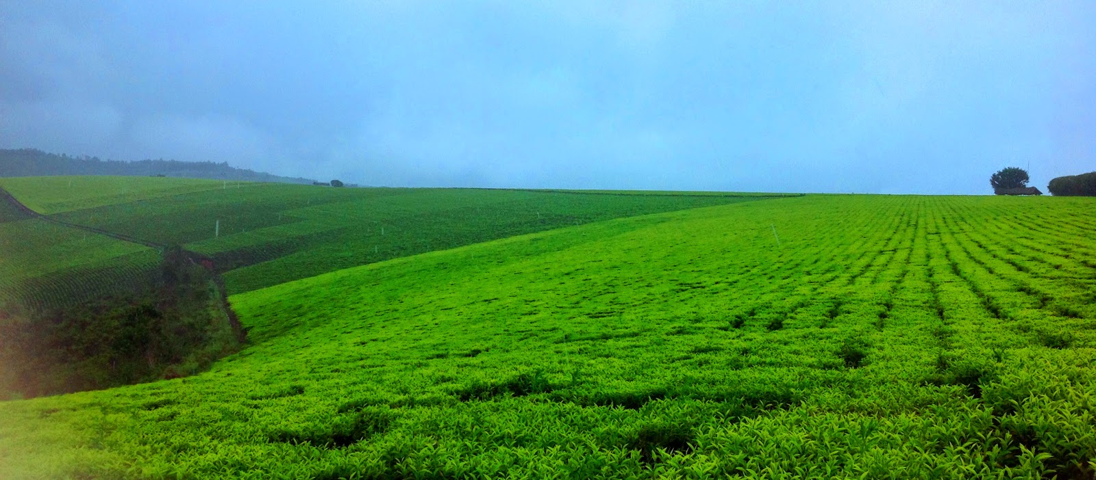 Southern Highlands Farms