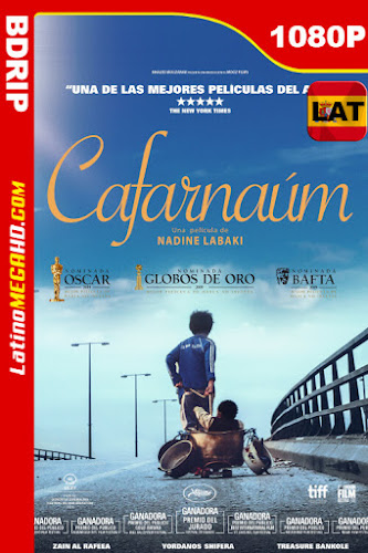 Capharnaüm (2018) Latino HD BDRip 1080P (2018)