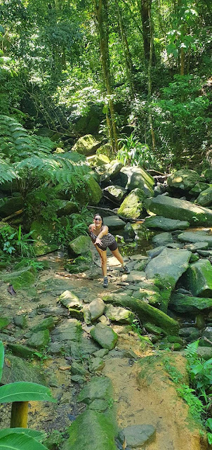 Trilha Praia do Sono em Paraty trilha demarcada em meio a mata de Paraty no rio de janeiro