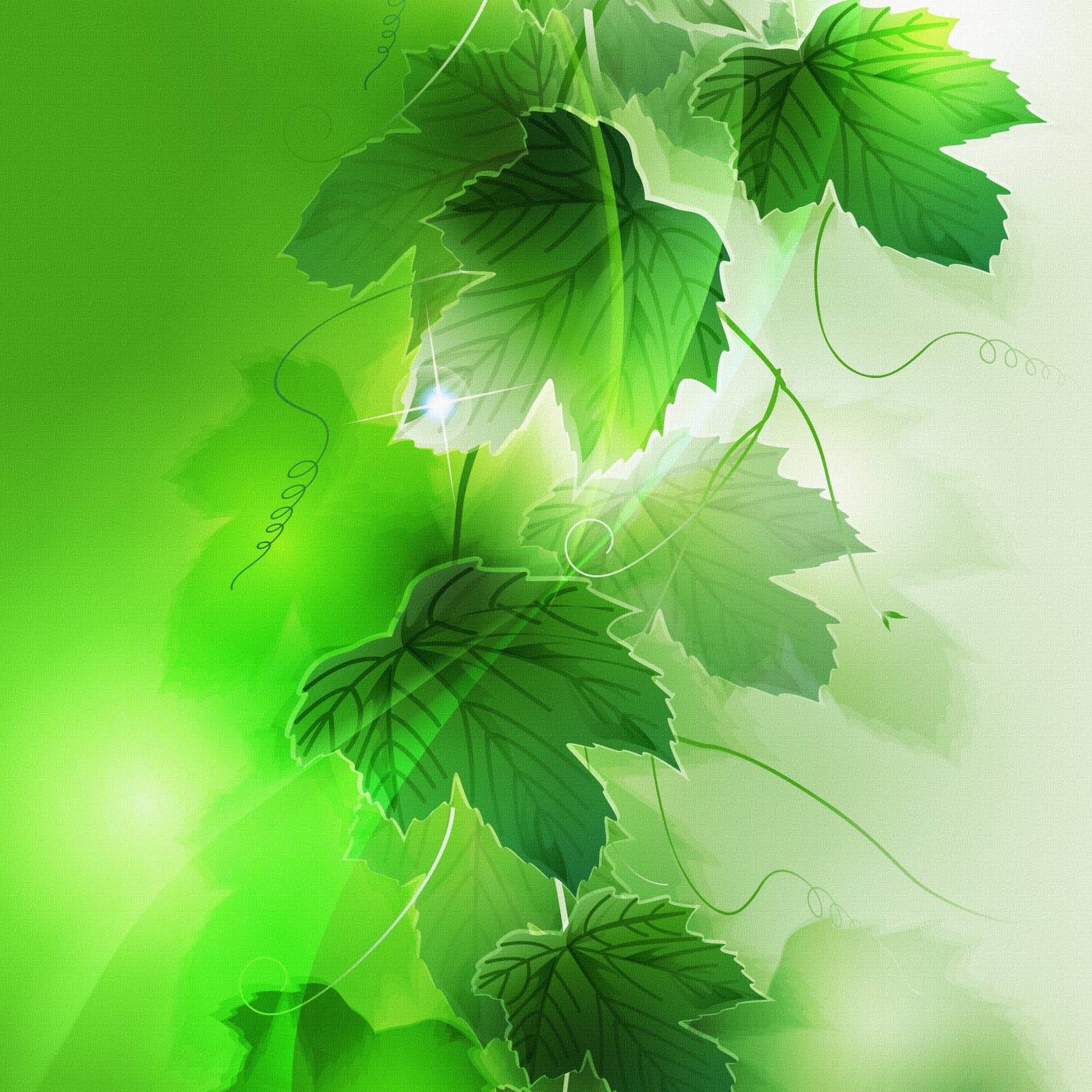 весенний фон. салатовый цвет фон. зеленая полоска. фон для портфолио. фон зелень.