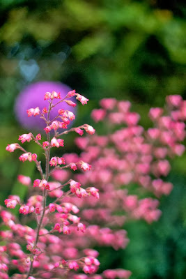 how to make heart shaped bokeh