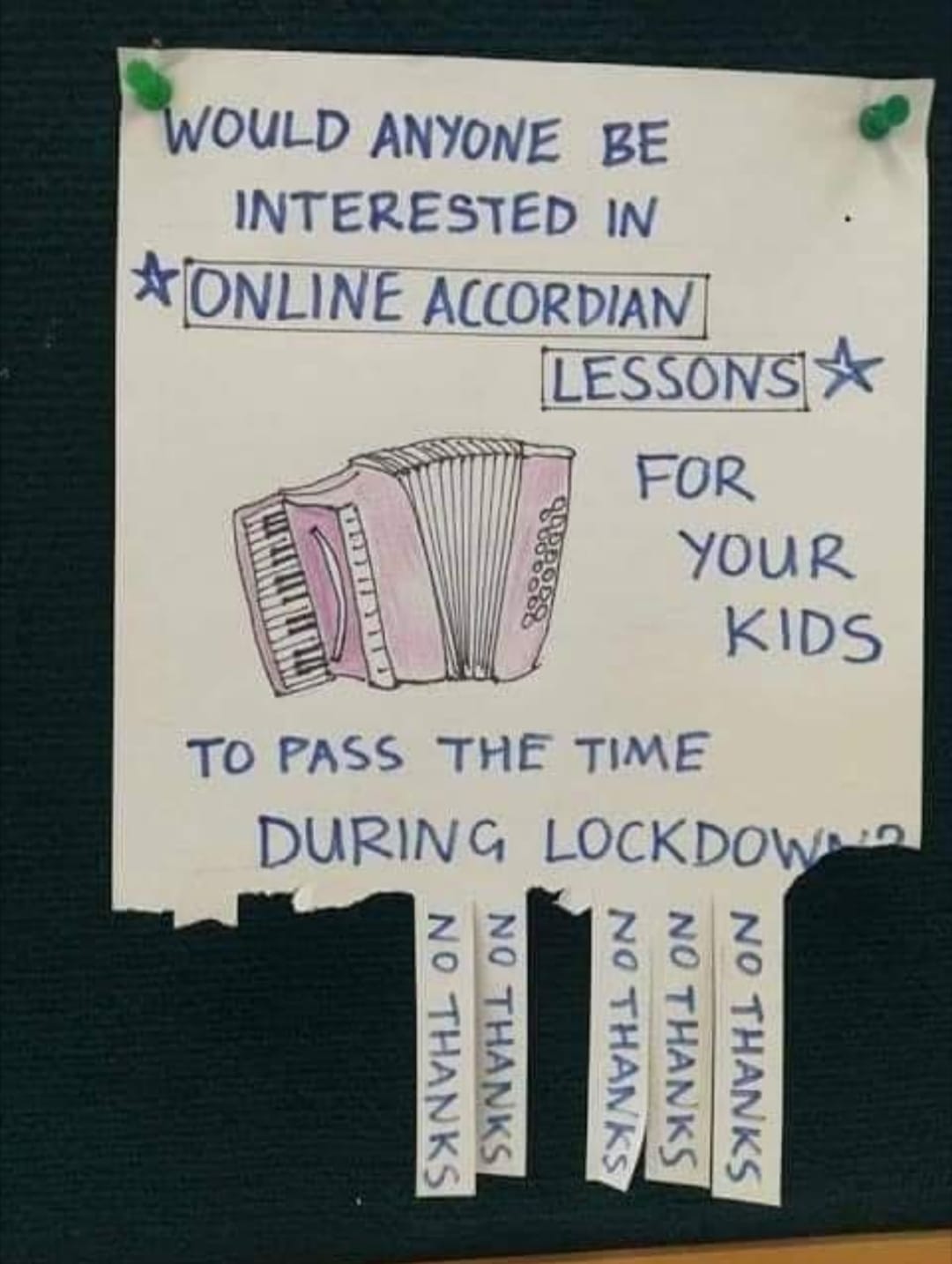 Miss Cellania Accordion Lessons