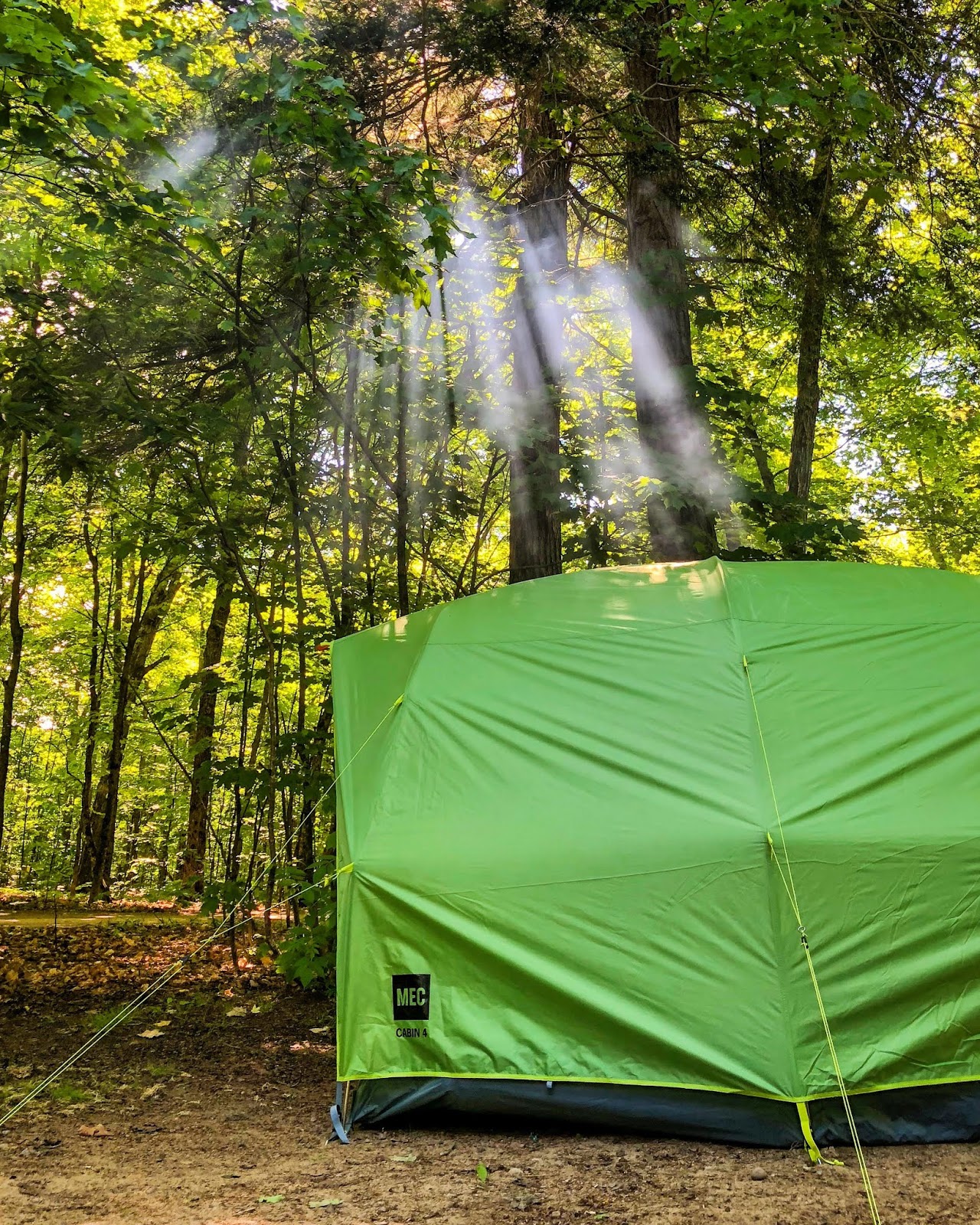 Best Family Friendly Camping Destinations In Ontario To Fro