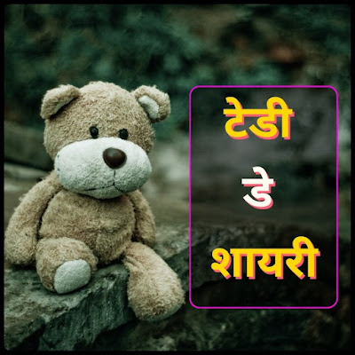 Teddy Day Shayari