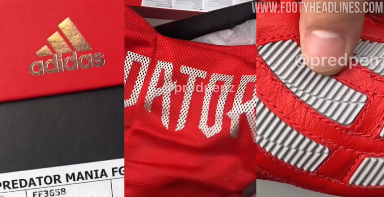 predator mania 2019