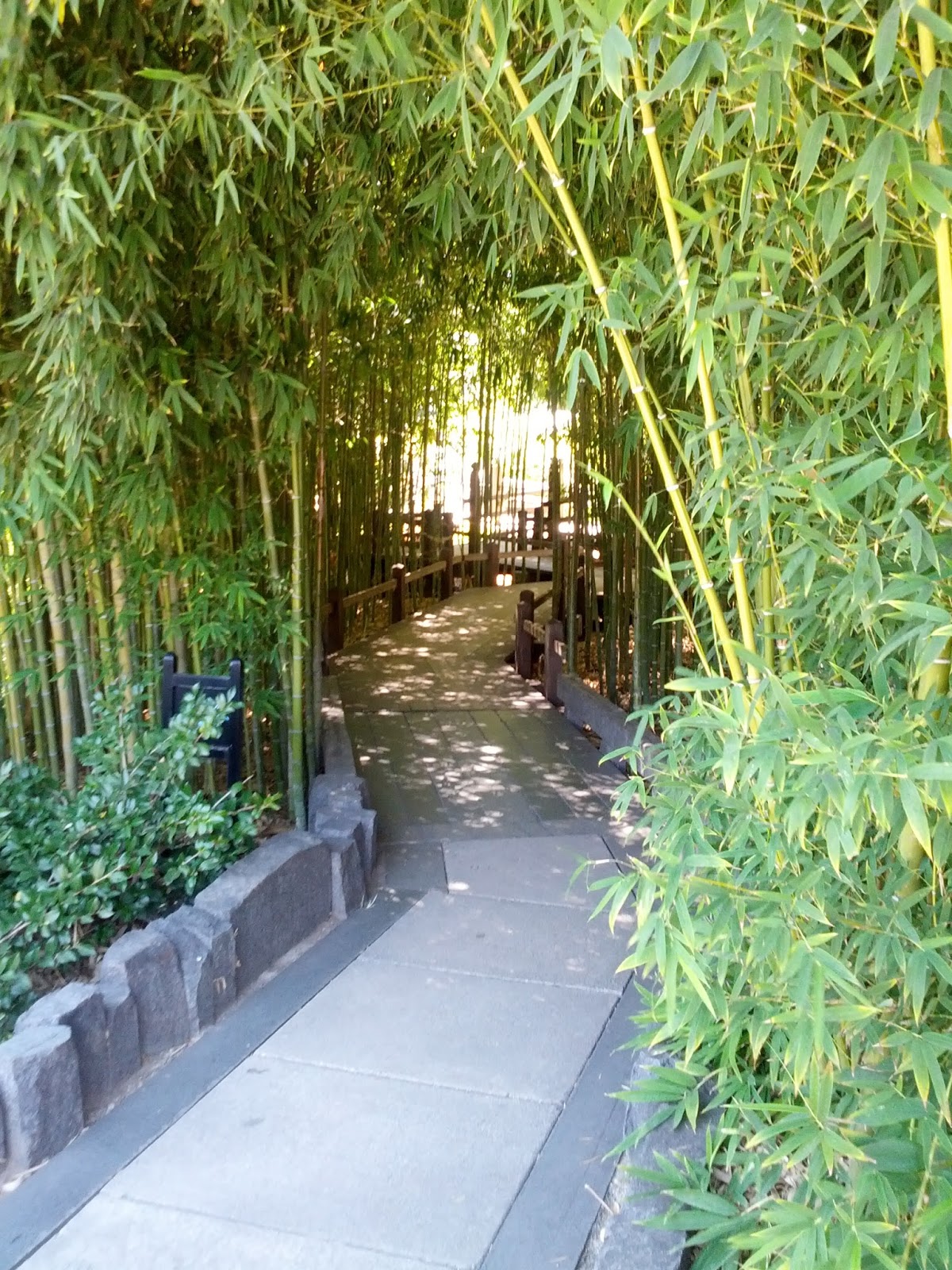 Rikachuuable Huntington Beach Botanical Gardens