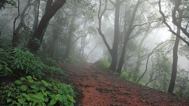 Top 10 hill stations In India - Matheran