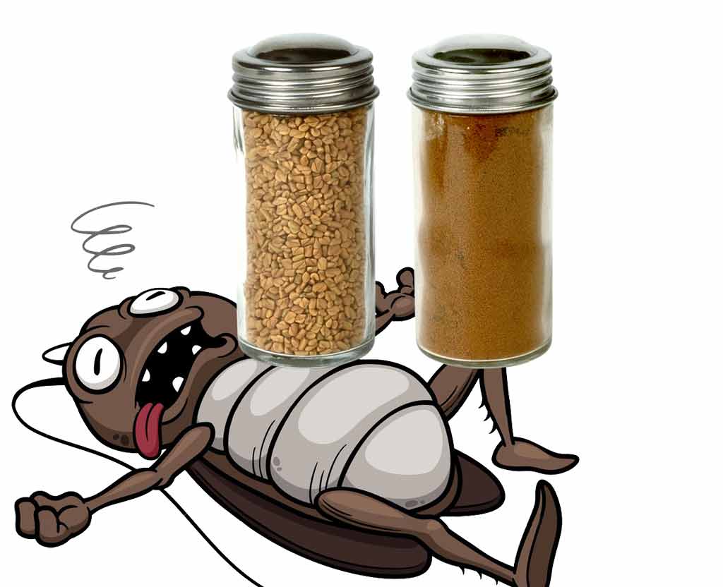 Top 5 Easy Tips How To Get Rid Of Cockroaches Amazing Facts