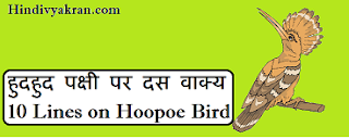 10 lines on hoopoe bird in hindi
