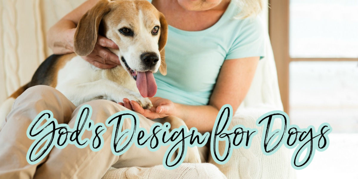 Bible Love Notes Dogs Tell Us Something About Our God