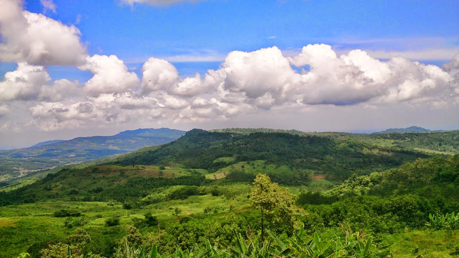 Rasakan Keindahan Gunung Batu Bogor - Explore Gunung