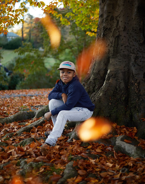 autumn, photography, kids, portraits, leaves, fall, child photos, fall leaves, 