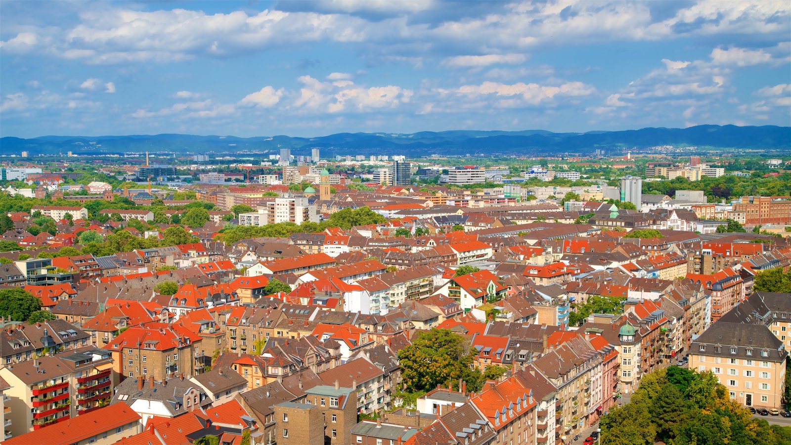 Ficken in mannheim - 🧡 Klokke Mannheim.