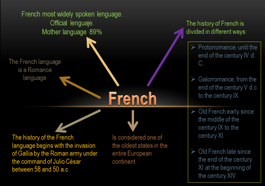 MENTE ERRANTE History of language French