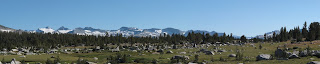 Panoramaansicht der Cathedral Range; Mount Lyell, höchster Gipfel in Yosemite, ist ganz links zu sehen