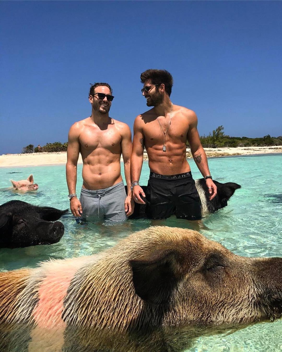 two-gay-dudes-summer-beach-vacation-swimming-wild-pigs