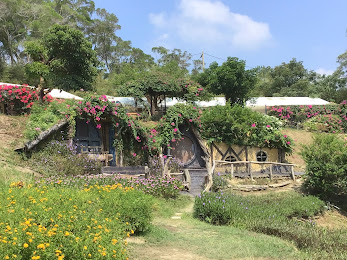 苗栗浪漫景點-格林奇幻森林-教堂.魔法屋.愛情櫥房，走入21世紀的童話世界