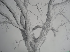 Neighbours Tree Sketch