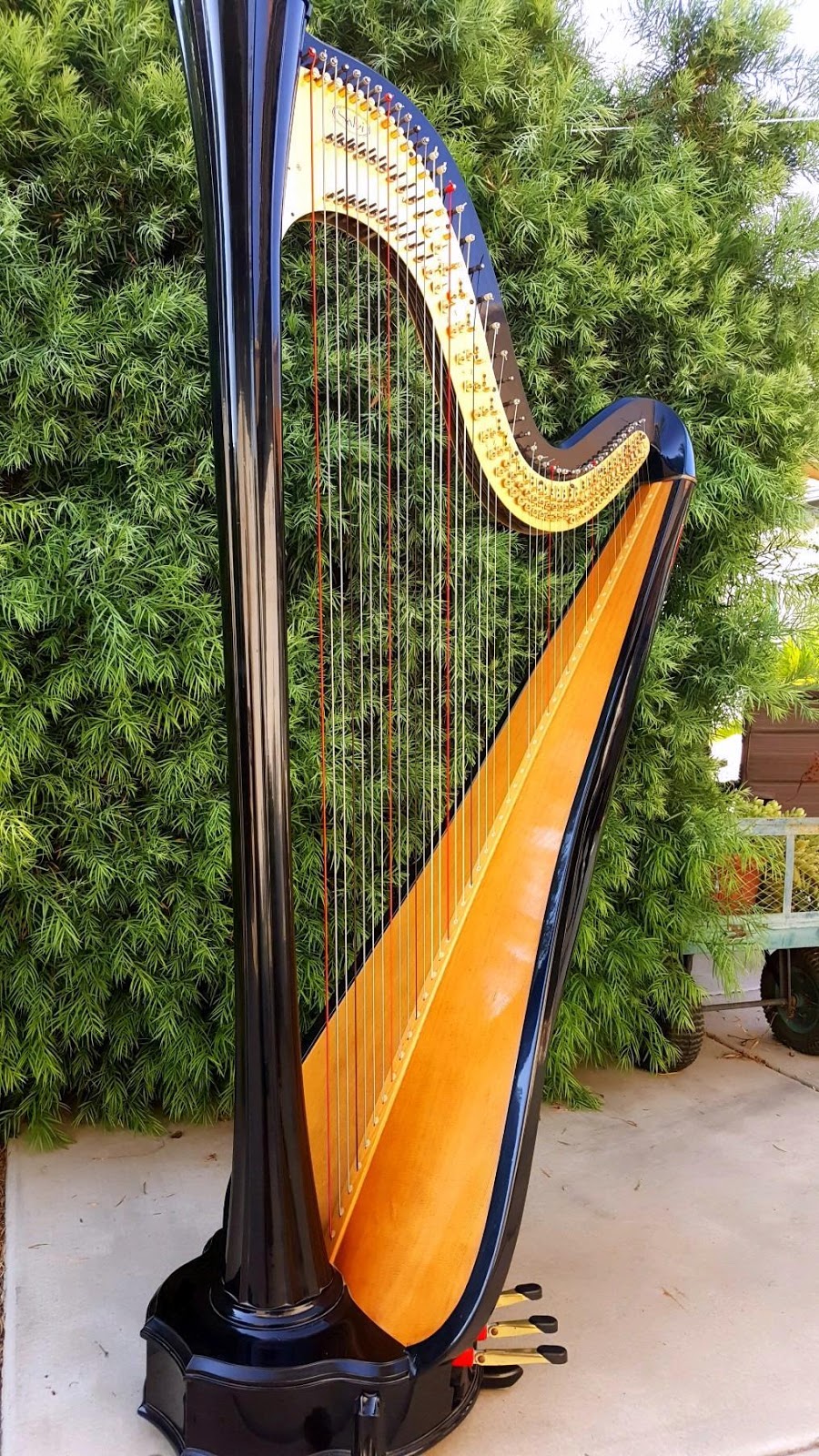 HARP IN LA HARP INFO 2 SALVI AURORA CG (47) PEDAL HARP 7548