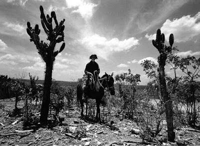 12 filmes brasileiros baseados em clássicos da literatura nacional 35