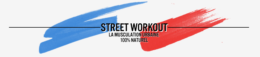 Le STREET WORKOUT en FRANCE : ÉQUIPES, MODULES ET PARCS