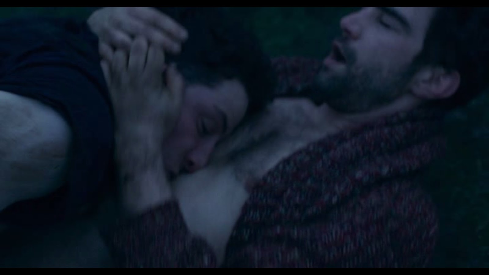 God's Own Country - Josh O'Connor & Alec Secareanu.