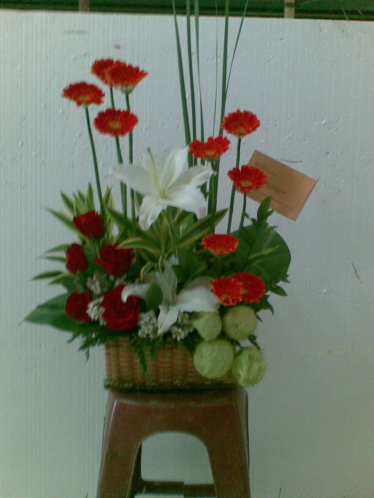 aneka bunga  pajang Alafa florist menyediakan aneka macam 