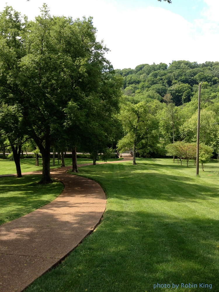 Needlepoint Study Hall Teaching at Nashville Needleworks
