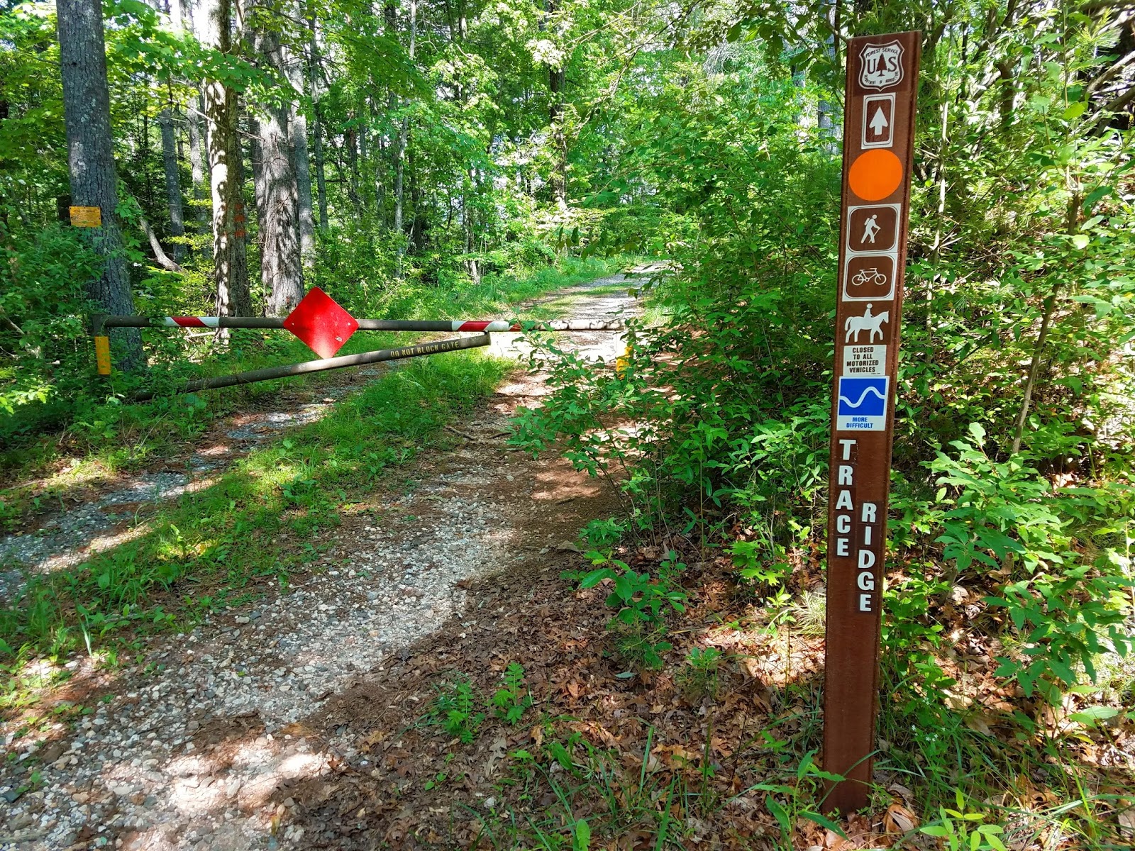Smoky Scout's Hiking Adventures Pisgah 400 Coffee Pot Loop