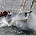 Rolex Sydney-Hobart: ritiro amaro per Giancarlo Simeoli 