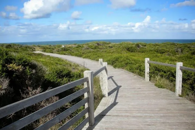 Adelaide to Melbourne Drive on the Great Ocean Road: Boardwalk to the Grotto