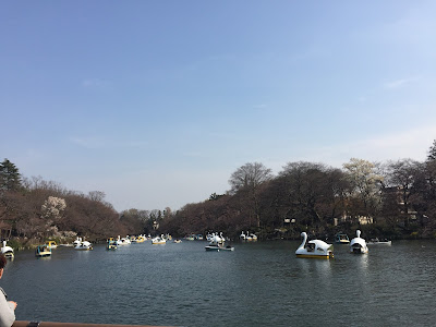 井の頭公園&櫻花
