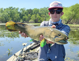 Fly Fishing for Bowfin, Bowfin on the fly, Texas Fly Fishing, Fly Fishing Texas, Bowfin, Beaverfish, Blackfish, Choupic, Cypress Trout, Dogfish, Ginnel, Grindle, Mud Fish,