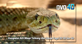 Ovo4d Togel Online Kumpulan Arti Mimpi Tentang Ular Dalam Togel 2d 3d Dan 4d