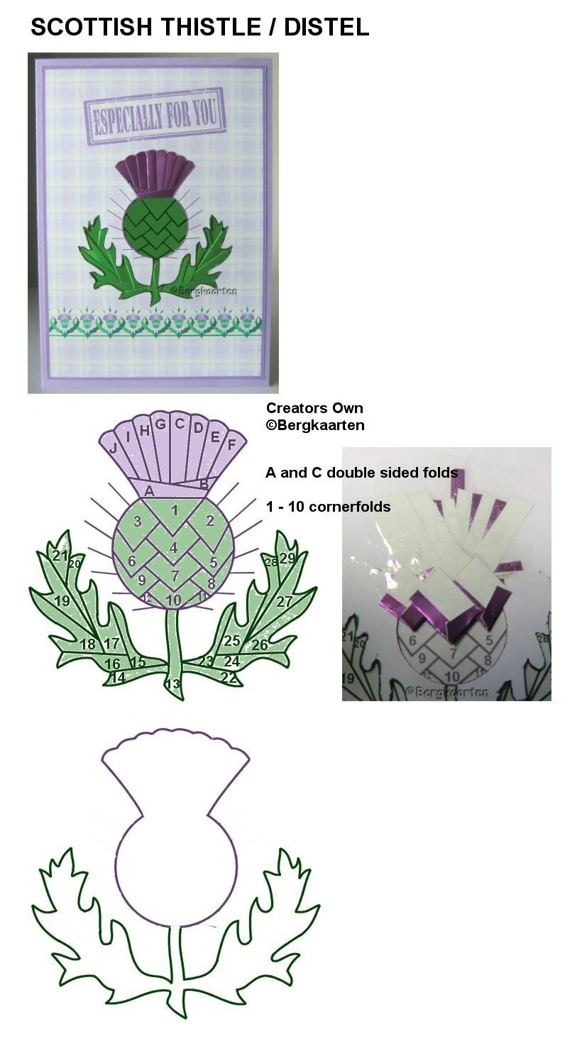 Irisvouwen Distel / Scottish Thistle