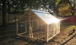 coop chicken roof diy sides