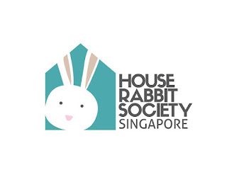 Rabbit rescue Singapore