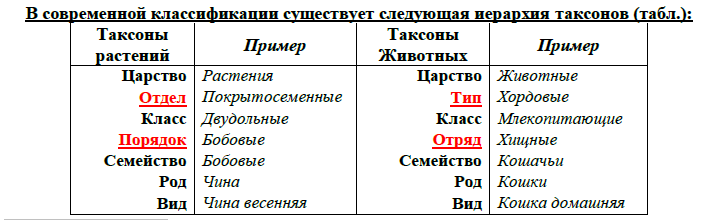 Царство Бактерии. Особенности строения и жизнедеятельности, роль в природе. Бакт