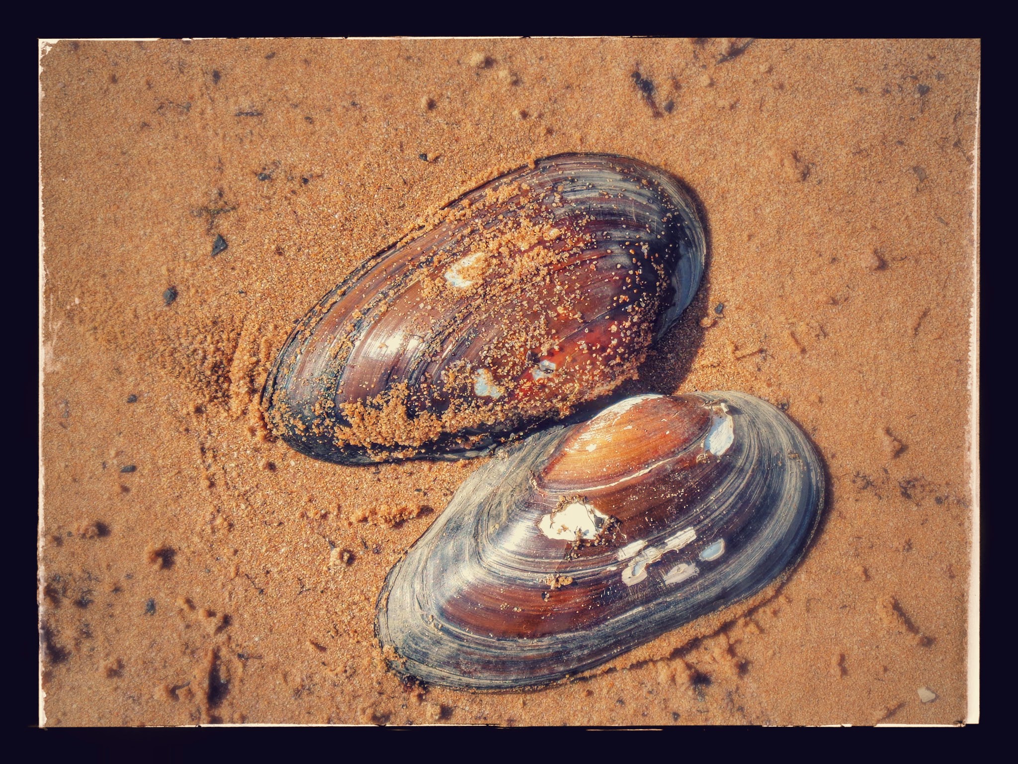 ILEANA JOHNSON Rain Finally Arrived