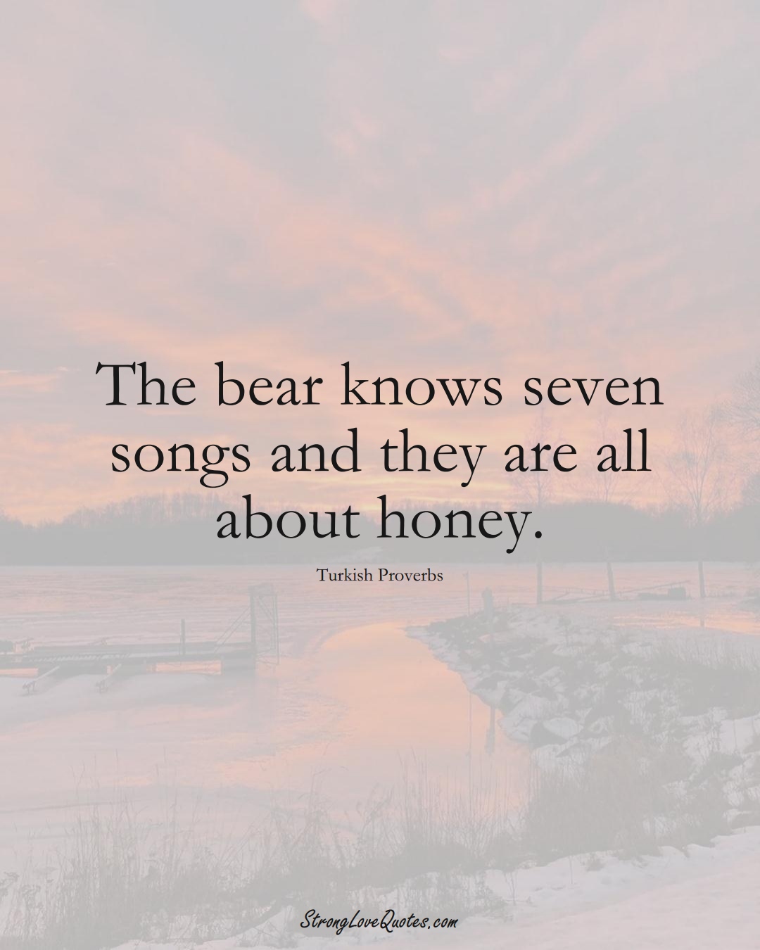 The bear knows seven songs and they are all about honey. (Turkish Sayings);  #MiddleEasternSayings