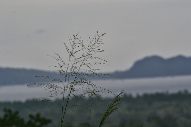 Abepura City, Papua 2014