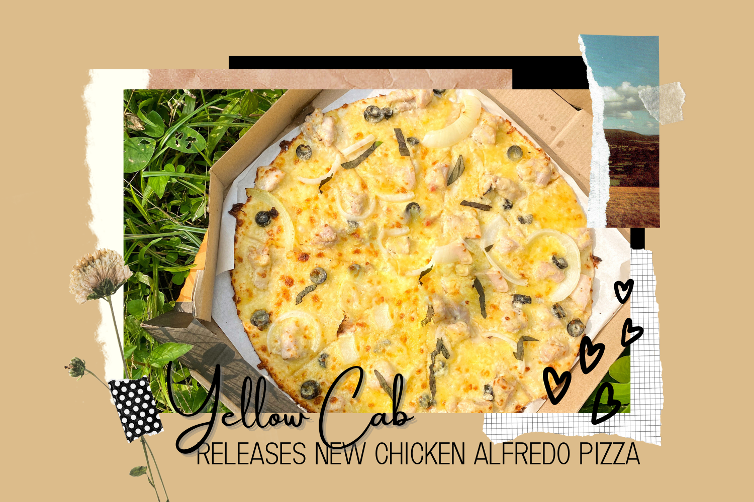 Yellow Cab Releases New Chicken Alfredo Pizza — Wild and Sassy