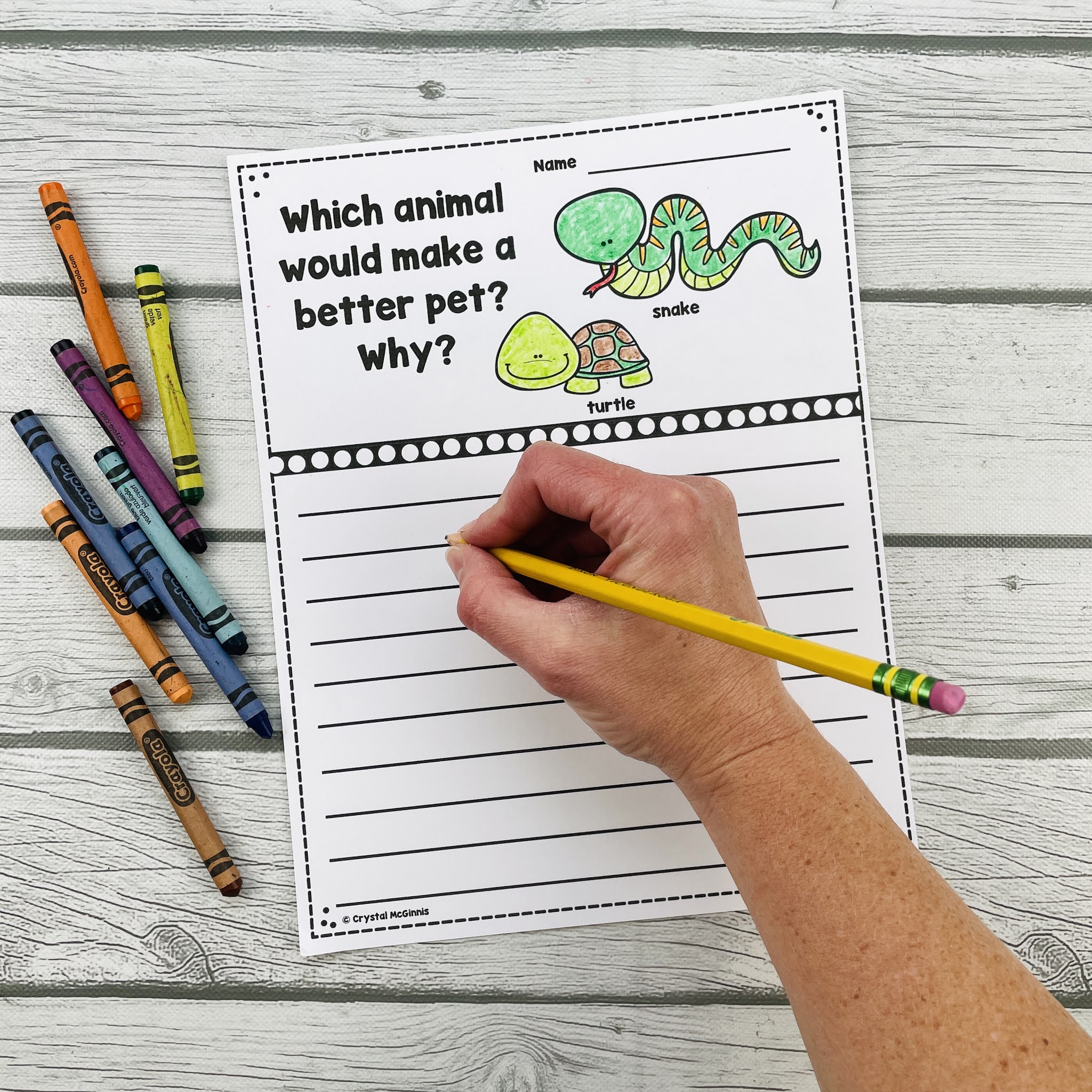 20 Opinion Writing Prompts for New Writers | Mrs. McGinnis' Little Zizzers