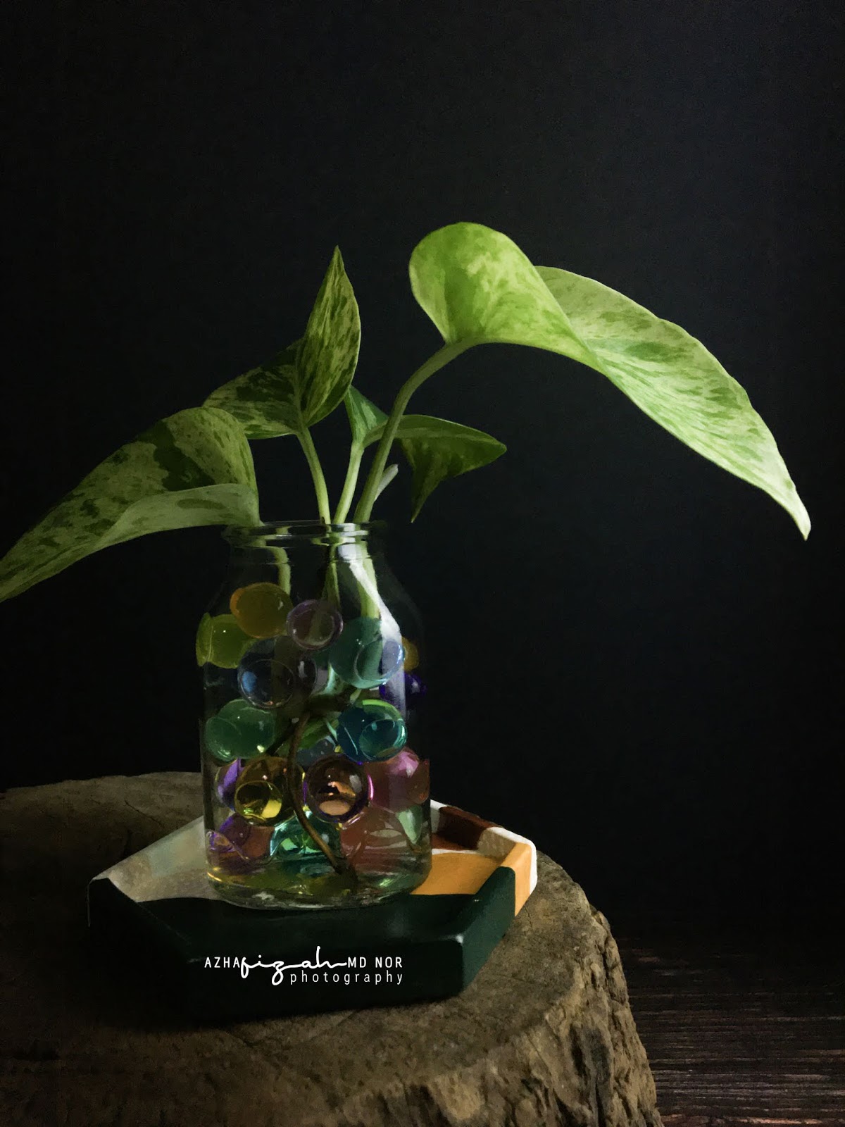 Water Crystal Gel Untuk Indoor Plants