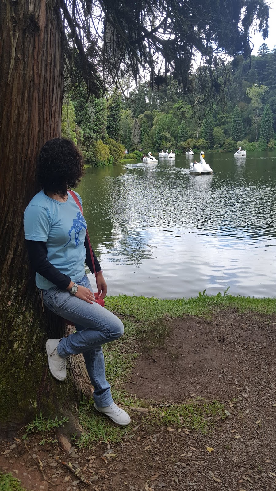 Lago Negro Lago Negro