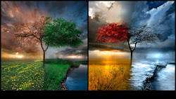 desktop wallpapers background backgrounds seasons change changing nature theme changes 3d windows four season fall want cool tree summer dark