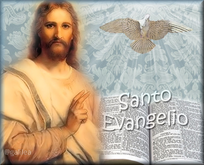 Testimonios para Crecer Santo Evangelio 27 de agosto 2016