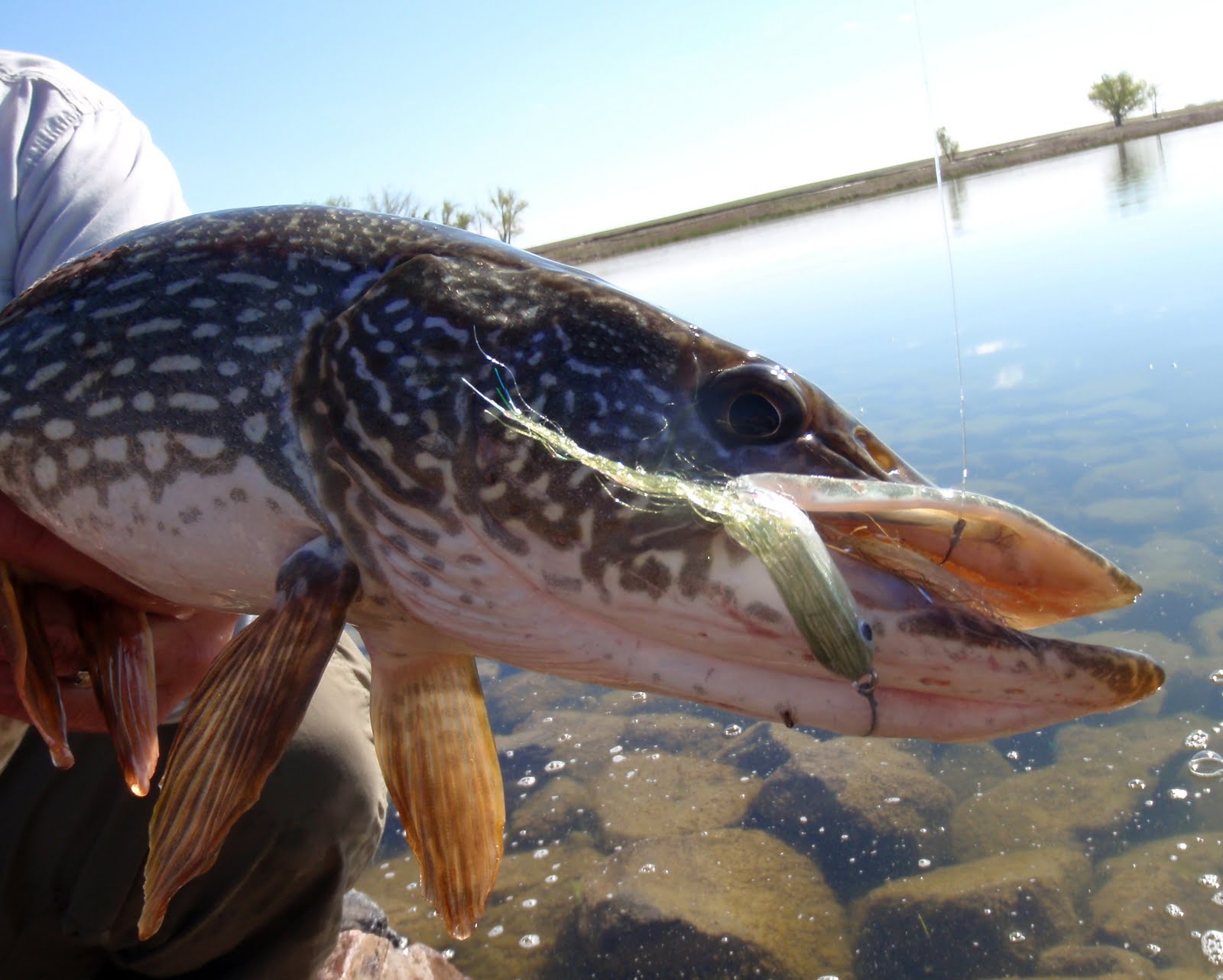 Northern Pike Flies