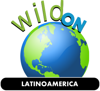 Wild-on Latinoamerica